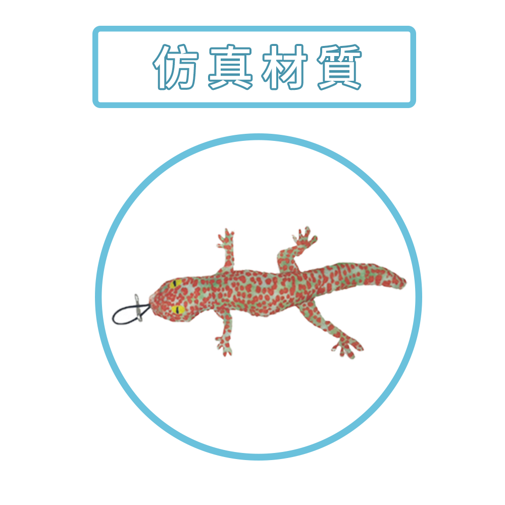 HF 蜥蜴逗貓棒替換頭