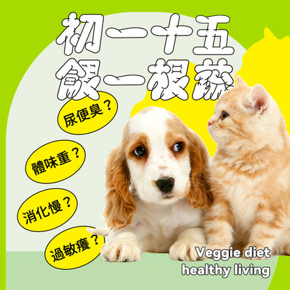 全寵主食｜起司燉奶強壯補鈣