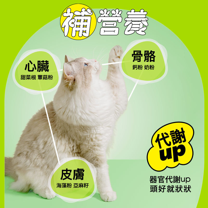 全寵主食｜起司燉奶強壯補鈣