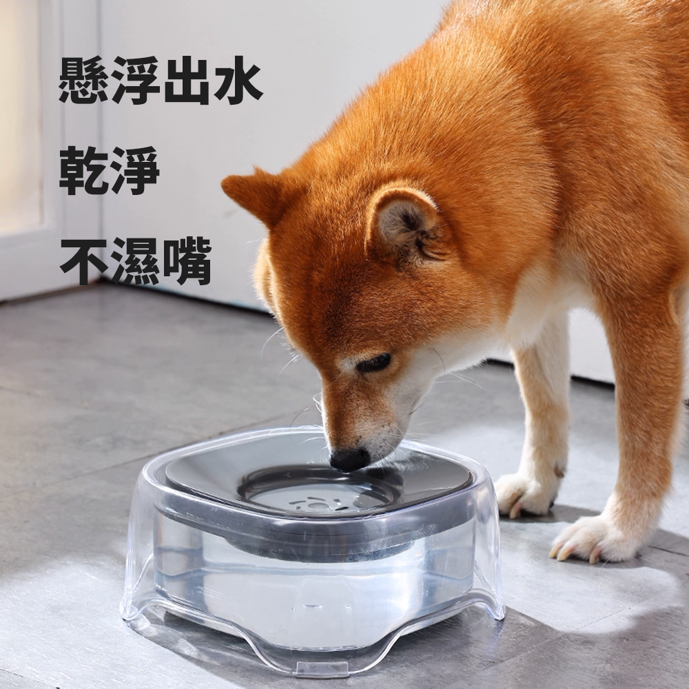 FLOAT 寵物透明浮水碗2L