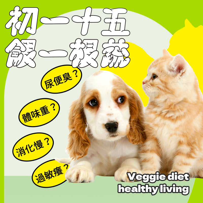 主食飽 雜菜鮮蔬低卡護心 250g