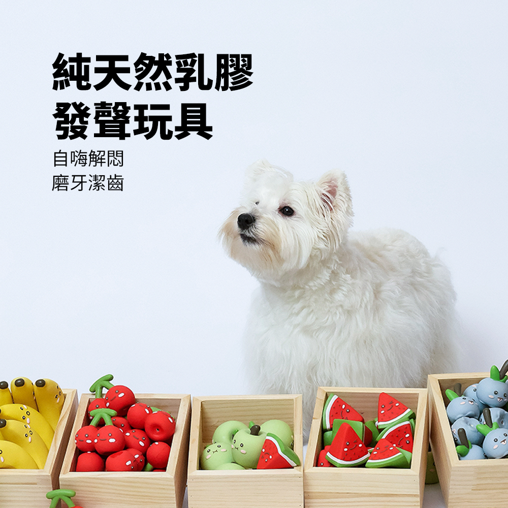 Roroarrr 天然乳膠發聲玩具(水果系列)