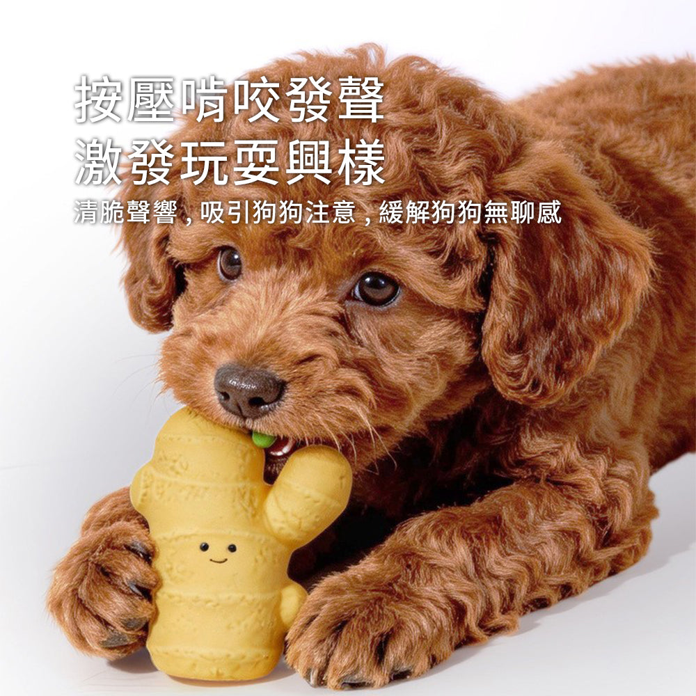 蔬菜乳膠發聲玩具 小白菜