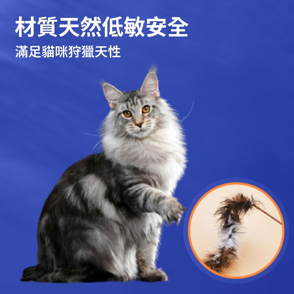 HF 逗貓棒替換頭 鳥類 (多款) 逗貓棒替換頭 仿真鳥 昆蟲 替換頭 羽毛逗貓棒 小鳥逗貓棒