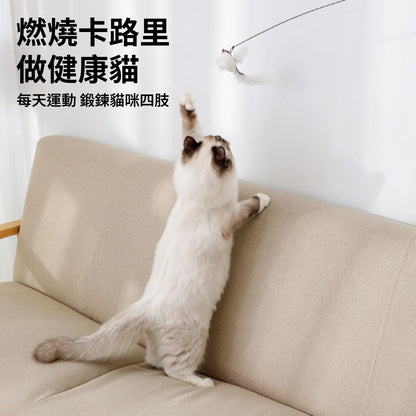 HF 逗貓棒替換頭 鳥類 (多款) 逗貓棒替換頭 仿真鳥 昆蟲 替換頭 羽毛逗貓棒 小鳥逗貓棒