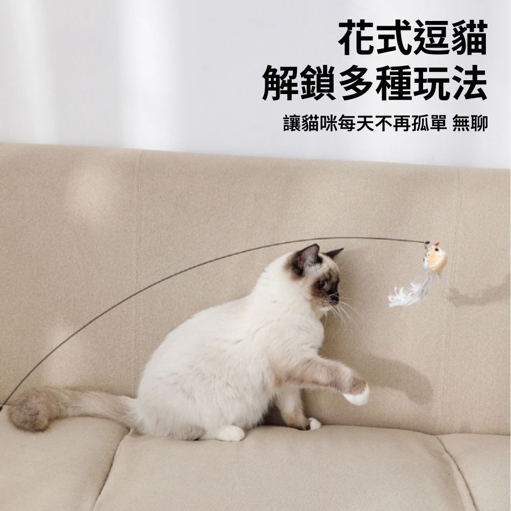 HF 逗貓棒替換頭 鳥類 (多款) 逗貓棒替換頭 仿真鳥 昆蟲 替換頭 羽毛逗貓棒 小鳥逗貓棒