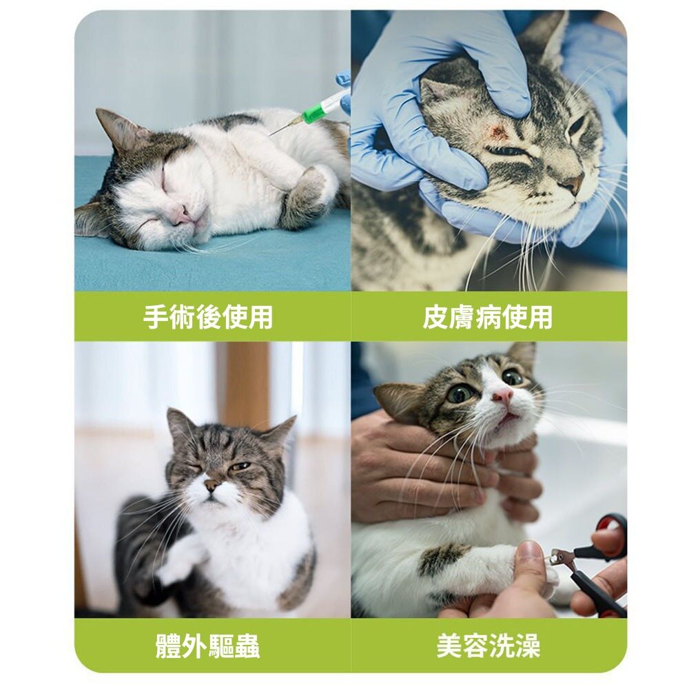 親膚海綿伊莉莎白(厚) 小兔