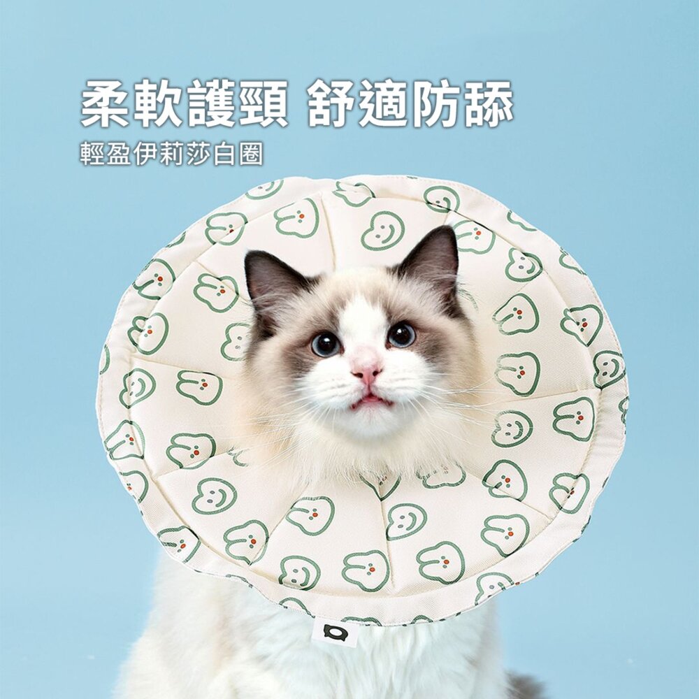 親膚海綿伊莉莎白(圓形) 小熊