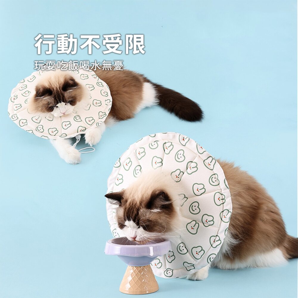 親膚海綿伊莉莎白(圓形) 小熊