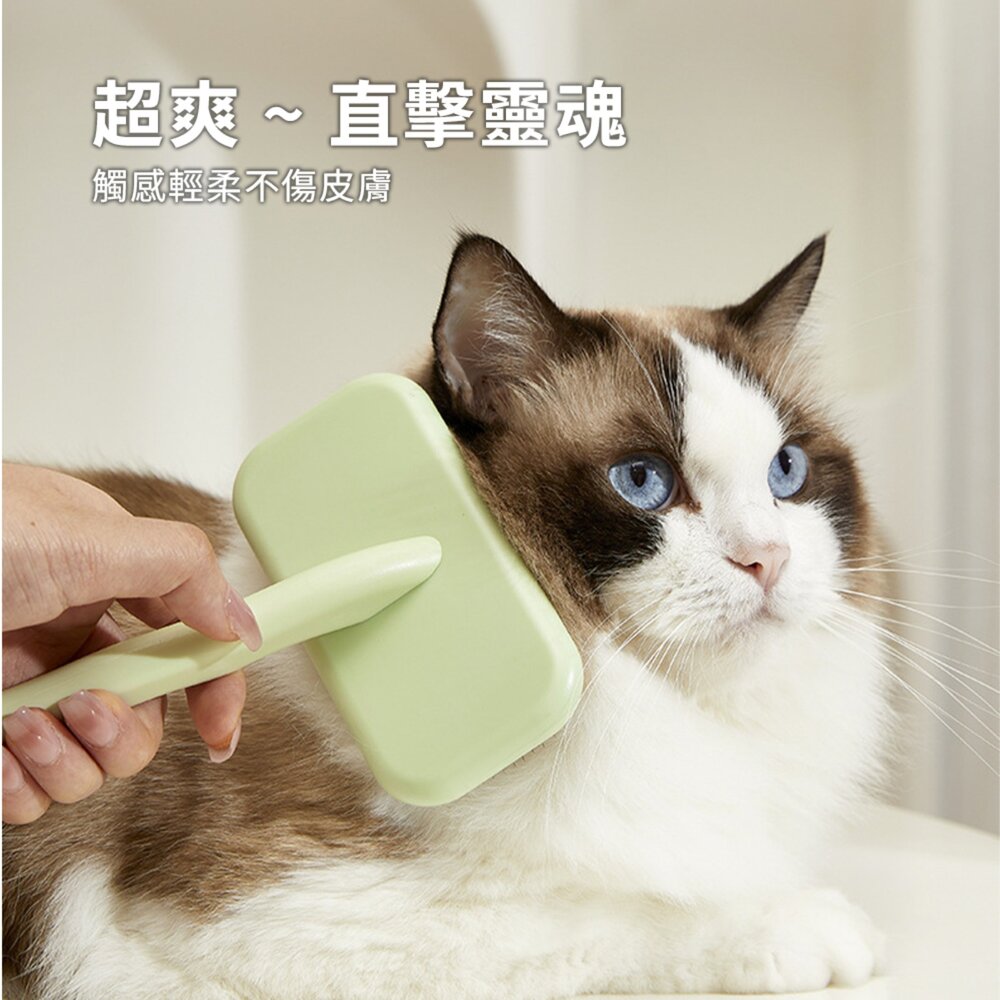 蓬鬆拉毛針梳方頭 青蘋