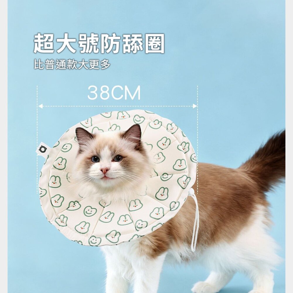 親膚海綿伊莉莎白(圓形) 小熊