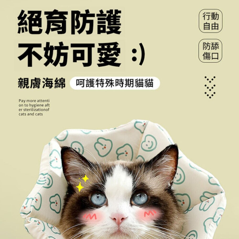 親膚海綿伊莉莎白(厚) 小兔
