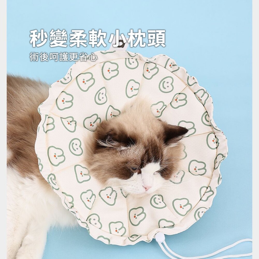 親膚海綿伊莉莎白(圓形) 小熊