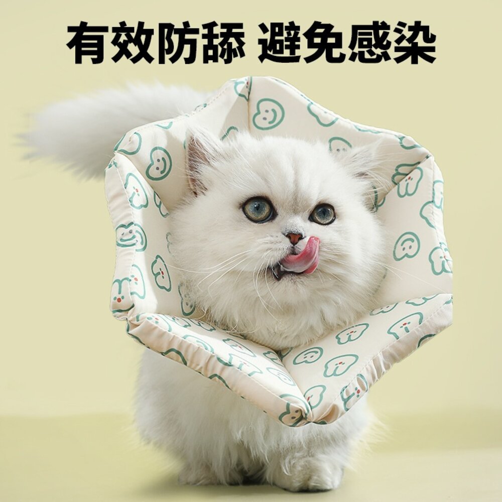 親膚海綿伊莉莎白(厚) 小兔