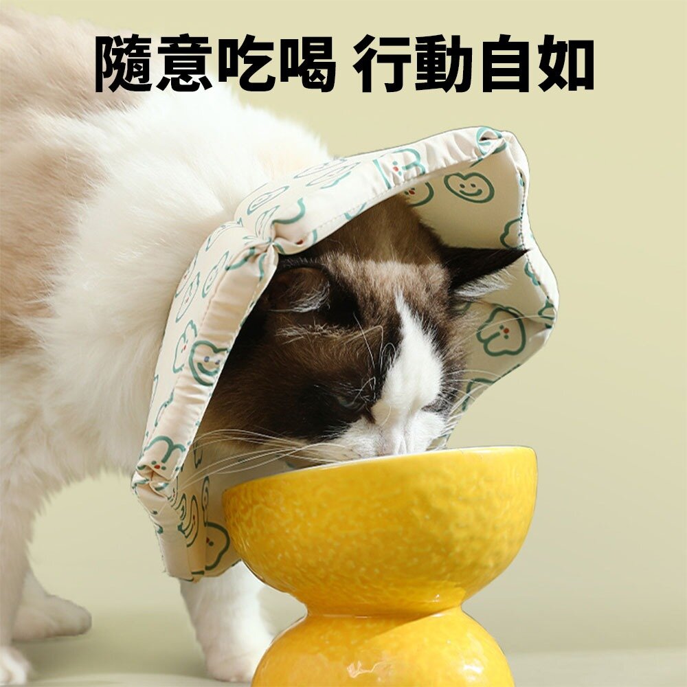 親膚海綿伊莉莎白(厚) 小兔