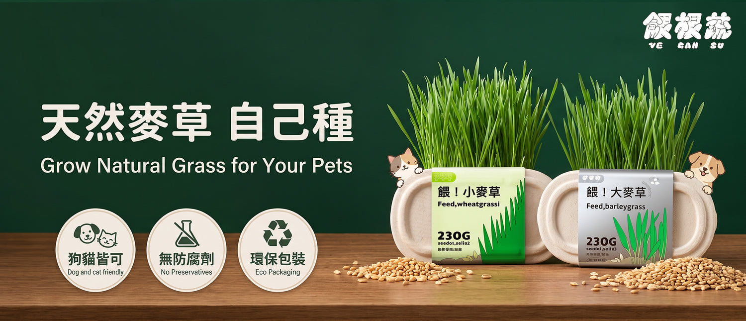 餵根蔬Vegansu